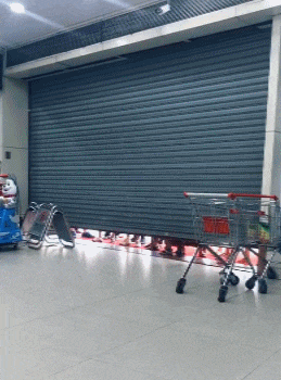 搞笑gif: 一场超越种族的恋爱, 你会祝福他们吗