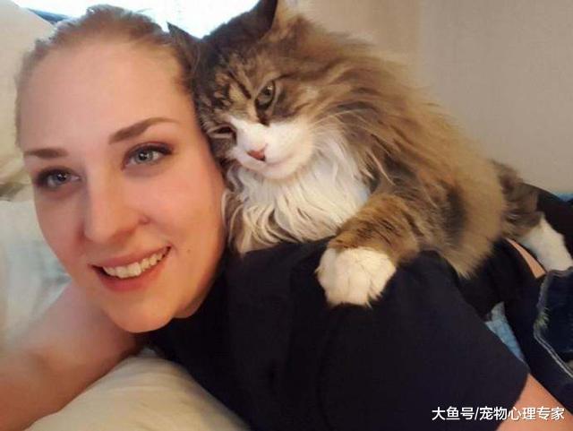 辟谣！猫咪被亲总会伸爪拒绝，是嫌主人有口臭还是纯属在害羞？