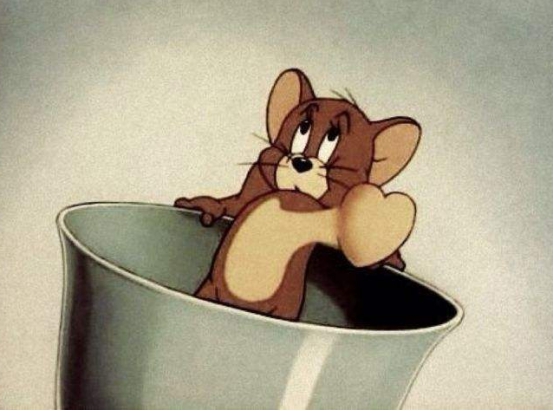 美国有只老鼠叫做杰瑞，日本有只老鼠叫做皮卡丘，中国老鼠叫做什么呢？