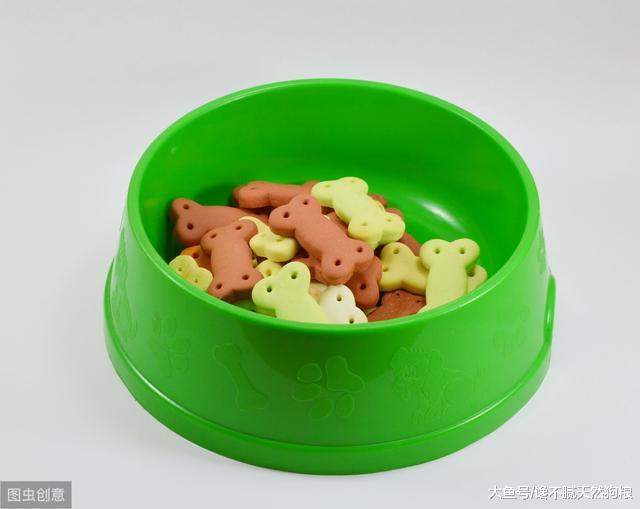 比起马桶，狗碗还要脏1000倍？铲屎官不能这样直接喂狗狗