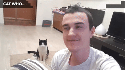 猫咪都会做啥？你想得到吗……