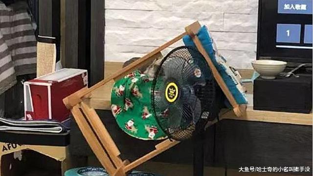 貓咪每天當著我的面秀恩愛，這回床都看不下去了，把它倆給摔了