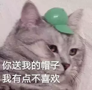 看着主人和新来的两只小猫相亲相爱 , 土著猫咪心里很不是滋味