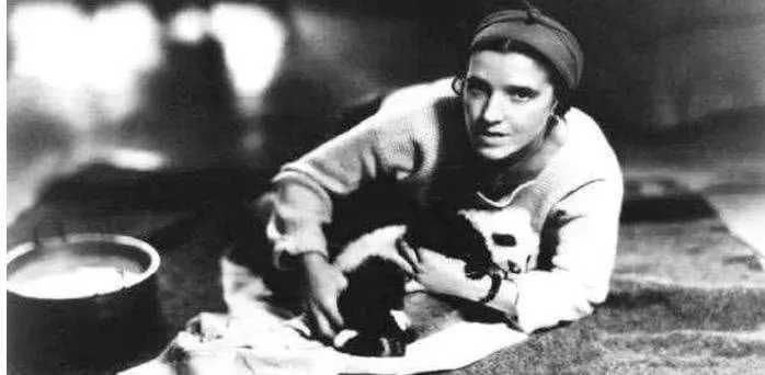 熊猫在抗日时期是什么处境？