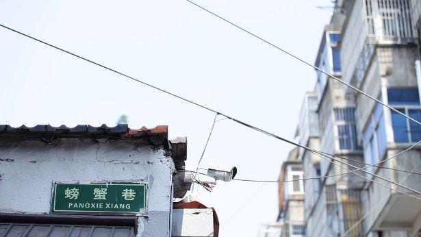 她用150㎡荒涼院子打造出怡人美景，將江南園景帶回家！