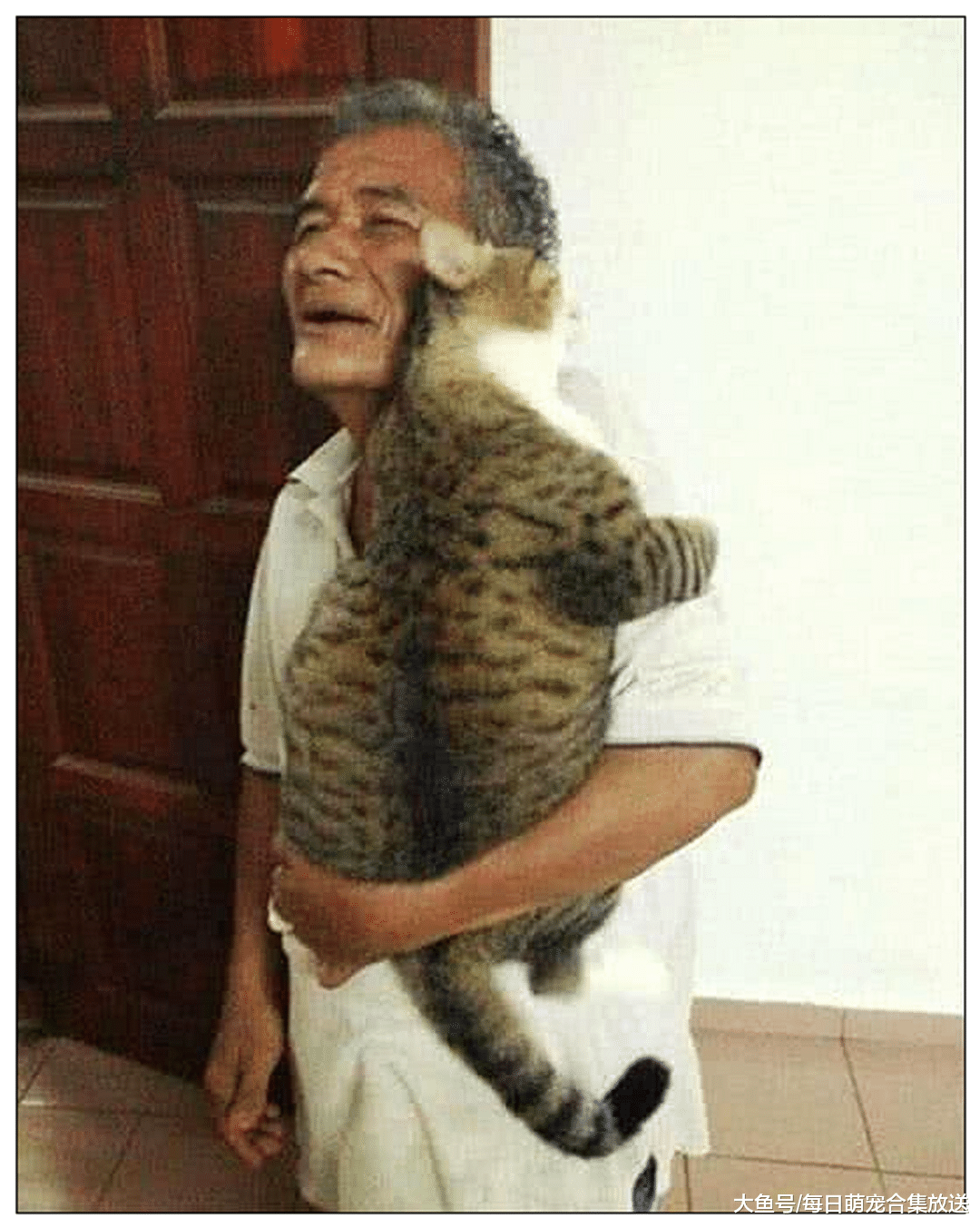 女子出差，把猫咪寄养到爷爷家，三天后来接时直接傻眼了！