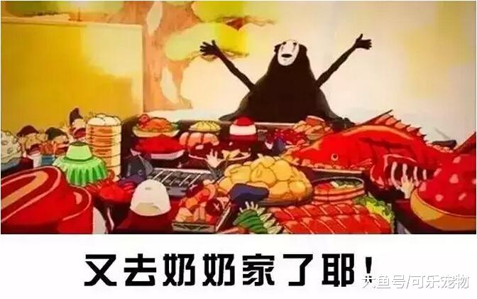 只要把宠物狗送到奶奶家，不出两个月就能喂成猪，奶奶：能吃是福