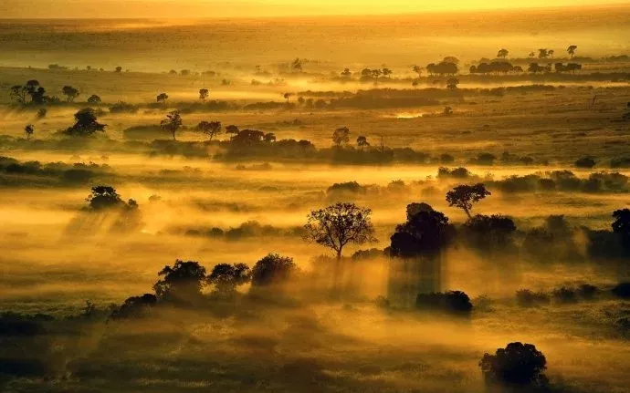 遇肯尼亚（三）难以描述的神奇