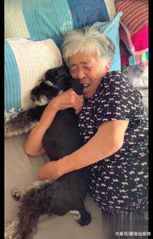 当初奶奶极力反对养狗，后来却抱着狗一起睡觉，态度转变太快了！