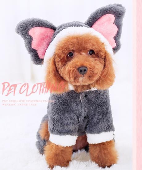 宠物衣服上新啦，可爱舒适又保暖给“狗儿子置办几套宠物衣服