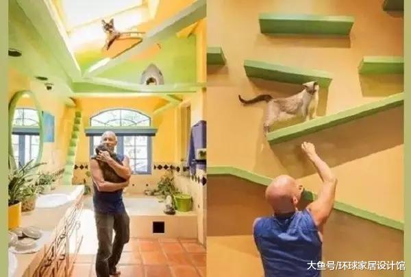 美国硬汉花二十几年为22只猫爆改住宅！日常撸撸猫，羡煞人也！