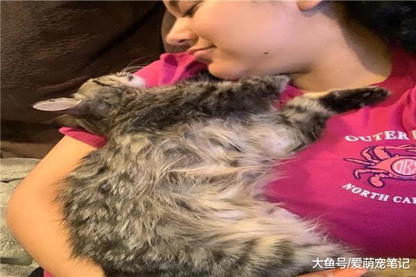 遛狗时捡到一只皮包骨的流浪猫，犹豫收养时，猫咪的反应让人心塞
