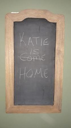 牧羊犬丢失，主人辞掉工作追踪57天，最终惊喜出现！