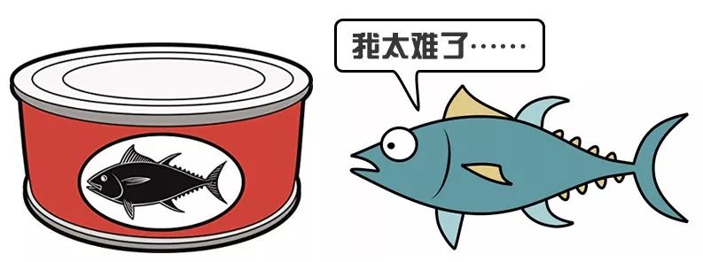 主食罐&零食罐有啥不同？怎么喂？看这一篇就够了！