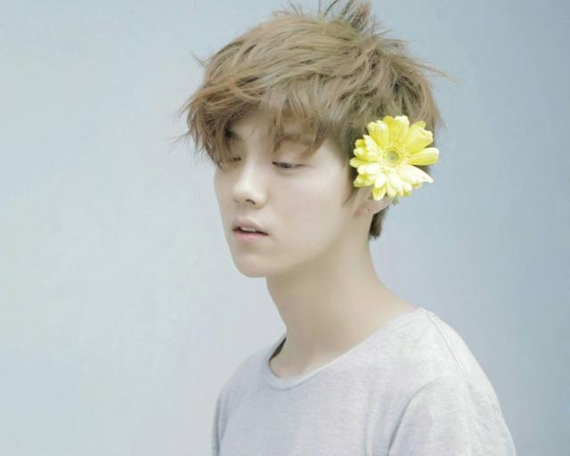 鹿晗电影还没上映，忽然官宣一部新剧，女主竟是《欢乐颂》中的她