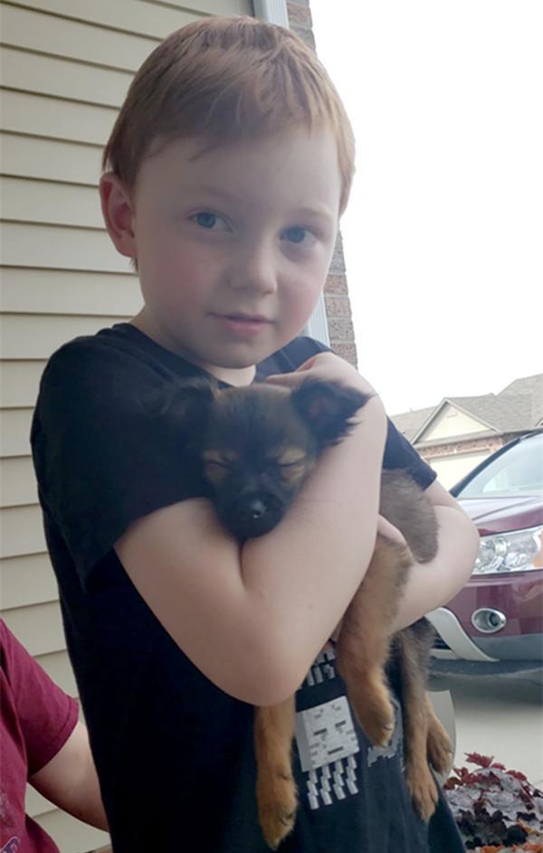 小男孩攒了一年半的零用钱，只为养狗，抱住狗狗那一刻，感动哭了