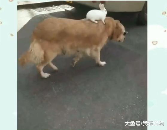 過年回家了，回家交通工具大詳解，總有一款適合你