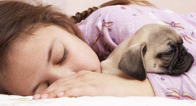 家里的狗狗为什么爱粘主人? 背后的5大原因, 可别误解了狗狗!