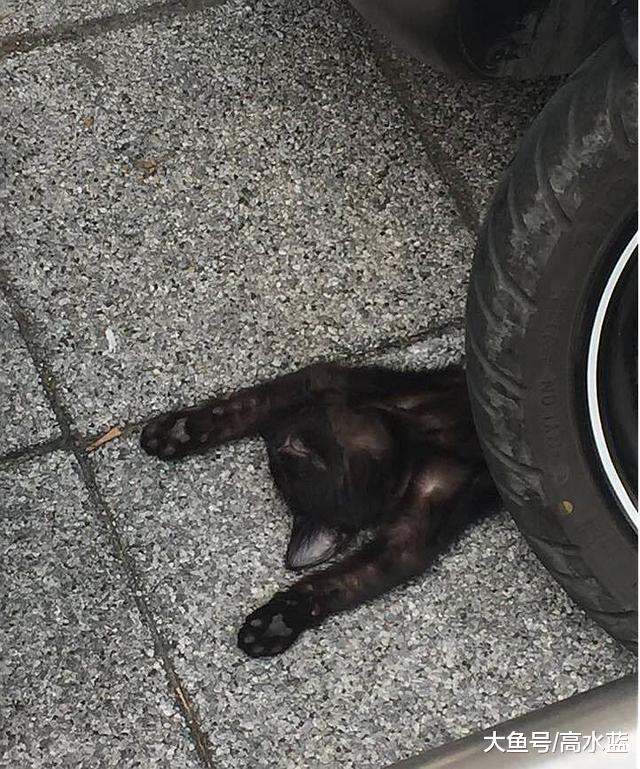 下班回家，刚准备去取车，然后发现我摊上大事了