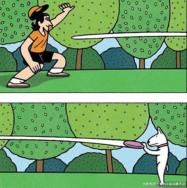 我家的狗子睡著的時候居然會打詠春，你這是偷偷去哪里學的功夫？