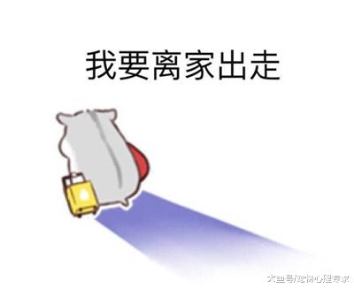 日本某网红将仓鼠关进瓶子，并上传视频：这还有人性吗？