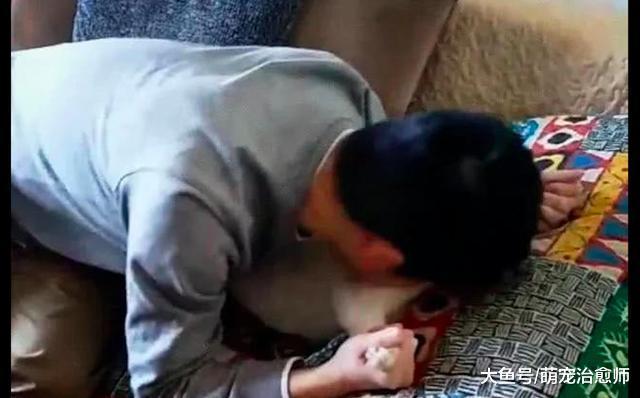 男主人喝醉后把貓按在沙發上，貓咪：你看錯了吧，你媳婦在旁邊！