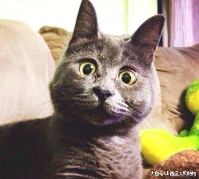 景区公共厕所人满为患，是时候展示真正的技术了，往前冲！