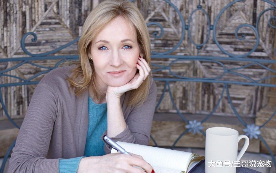 JK罗琳坦诚遗憾：没让哈利波特和赫敏在一起，他们才应该是一对