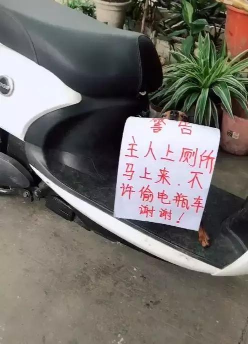 网友想去上厕所，又担心车被偷，看了一眼狗，想到了一个好办法