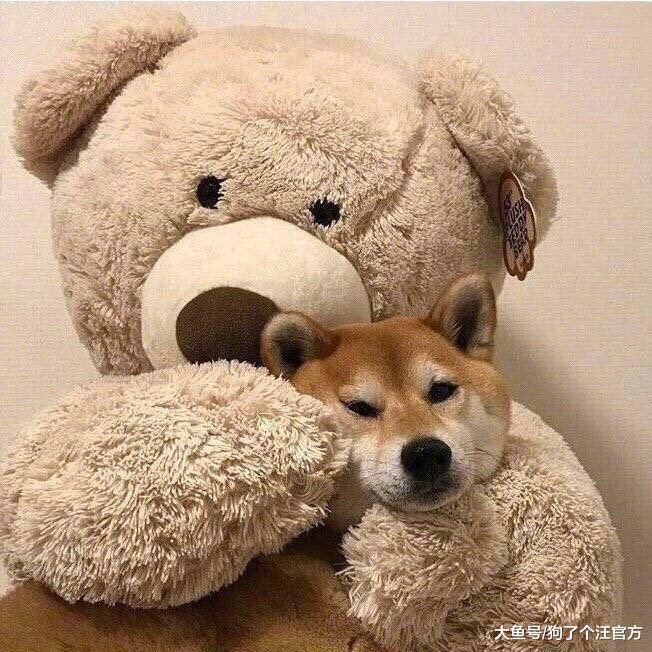 我对食物的渴望，超乎你的想象