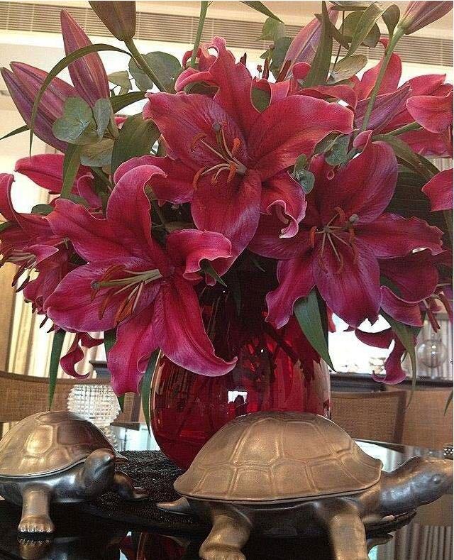 参观黎姿现实的豪宅，如今都50多岁了还很潇洒，经常开游艇出海