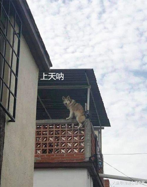 男子回家时抬头看了眼阳台，二话不说往家里赶：要出事