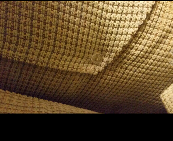 老婆不顾反对这样放洗衣机，省地方又好用，老师傅夸赞真聪明