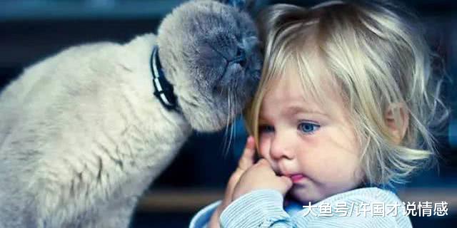 小主人本来在荡秋千，猫咪却直接爬上来，宝宝暖心之举让人感动