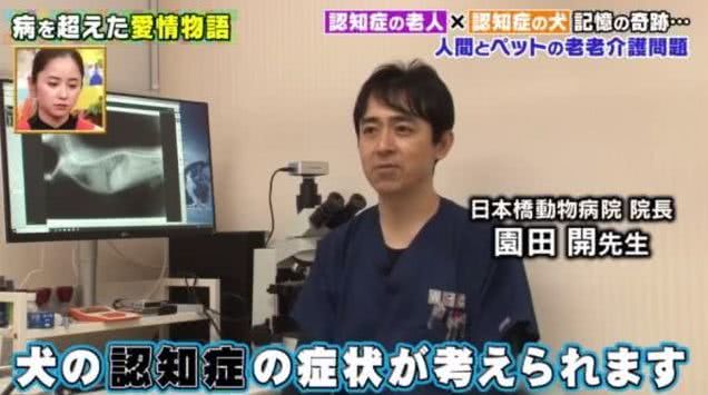 一起患上了痴呆症的奶奶和柴犬，长时间未见，感人的画面就此上演
