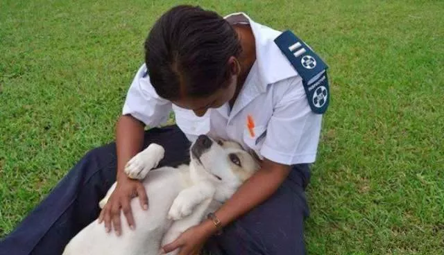 当警察蜀黎遇到流浪狗，从此狗生逆袭，超暖哦