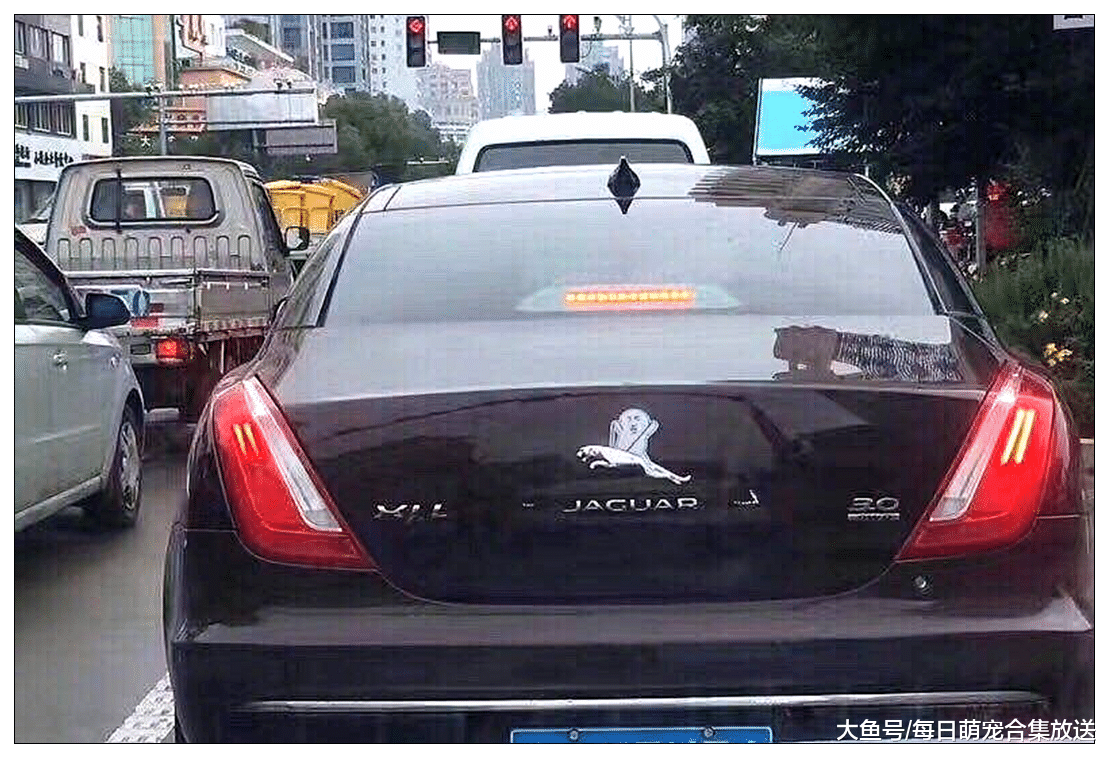 盘点：被恶搞的车标，捷豹我忍了，华晨马宝宝实在是忍无可忍了