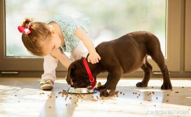 在高温季节养狗，主人切记别做这5件事，对狗狗没有好处