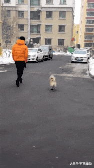 听说养狗时间越长，狗和主人会越来越像，还会带给主人沙雕气质