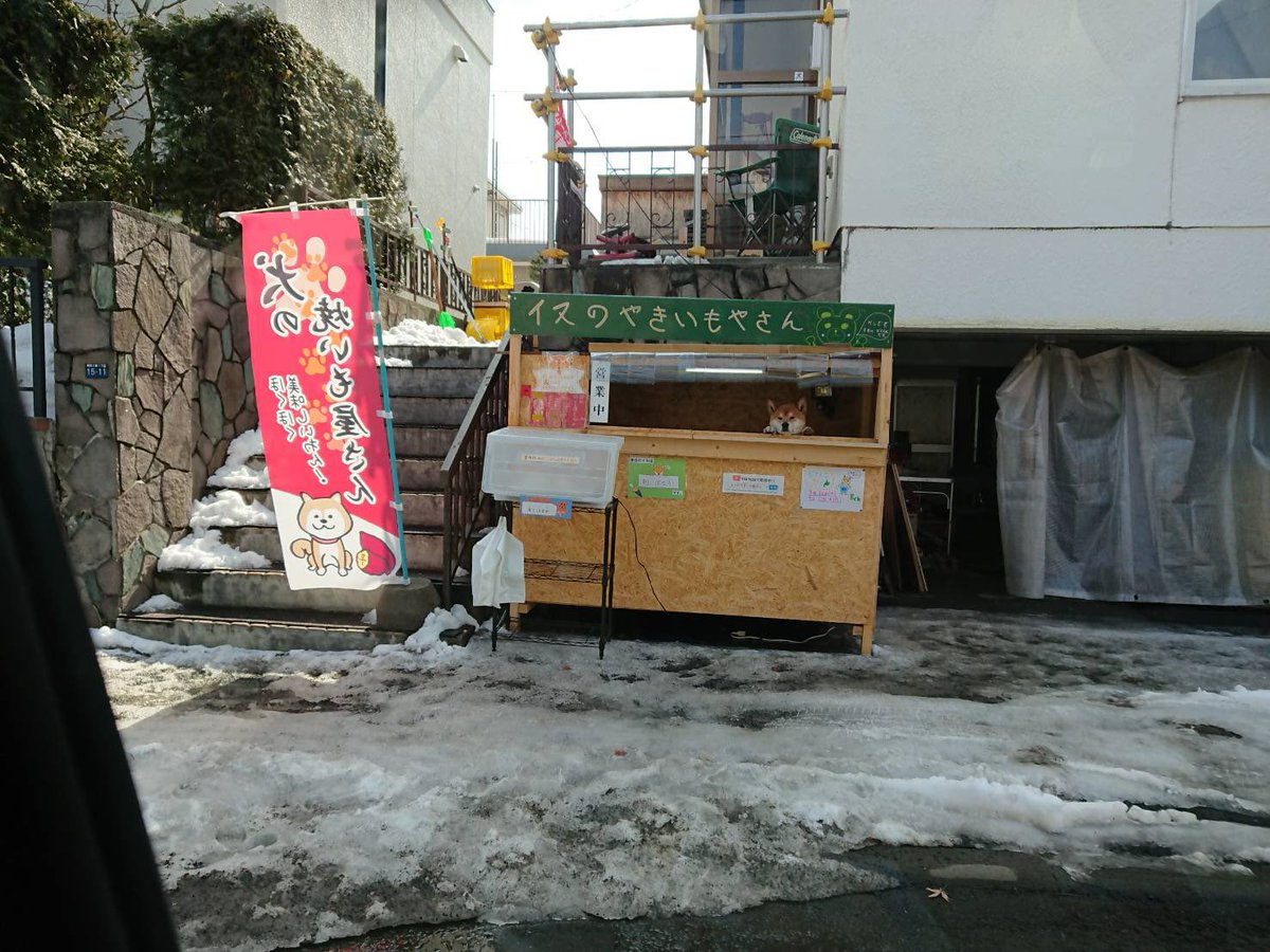 人手不足所以找汪汪代替，柴柴店长顾店卖烤地瓜，瞬间售完