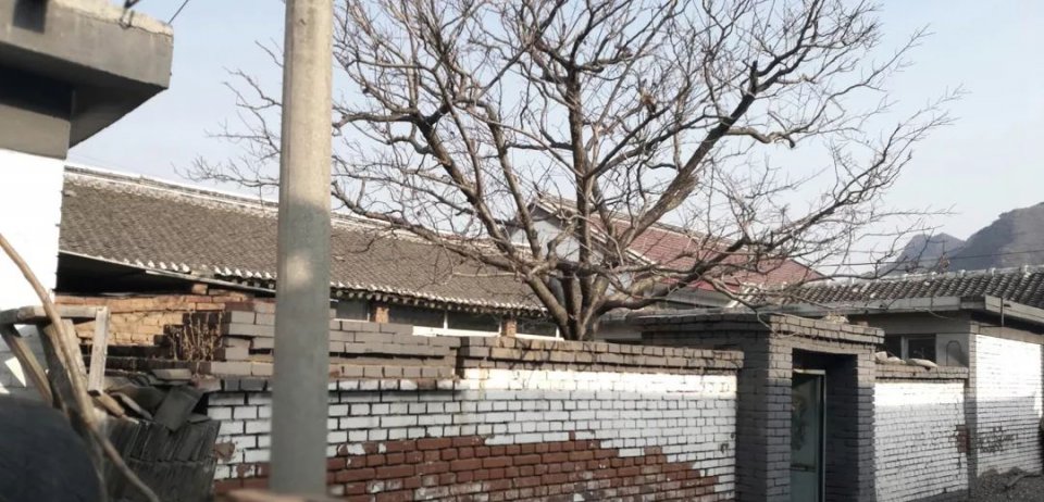 庄家共享农庄：红果树+小酒馆改造记