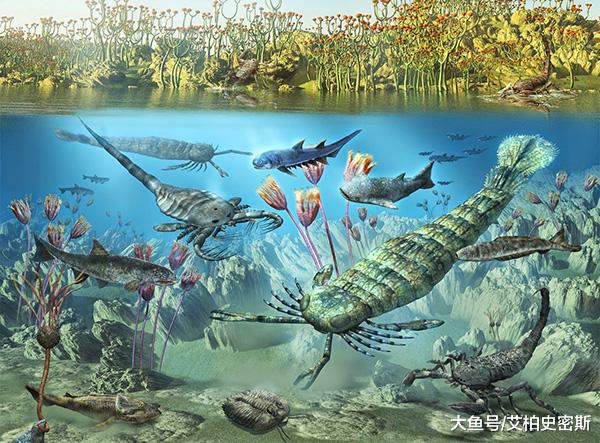 在5亿年前的寒武纪，为什么会突然经历生命大爆发？