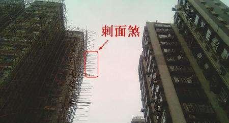 家里发生盗窃不要慌, 先报警, 再看看是不是犯了这个风水煞