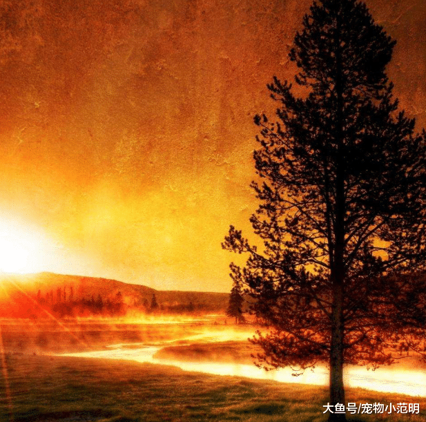 家里的女人突然爱打扮了，就可能会发生这种情况了，已婚男人要注意了！