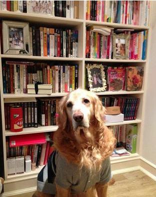 ?晒吴佩慈的豪宅，全屋家具都是国外进口的，衣帽间摆满名牌包包