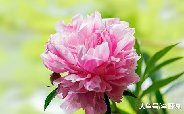 人过50以后，最好的活法！