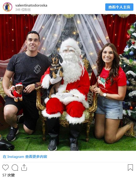 铲屎官等级考核，一共八级，您达到了几级？