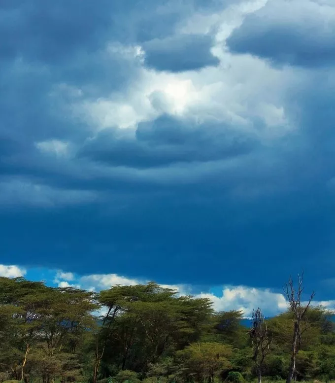 遇肯尼亚（三）难以描述的神奇