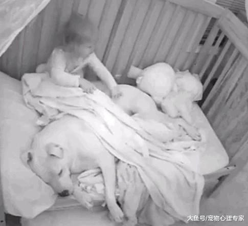 发现宝宝半夜总坐起来，本想教训她不听话，看了监控后莫名感动