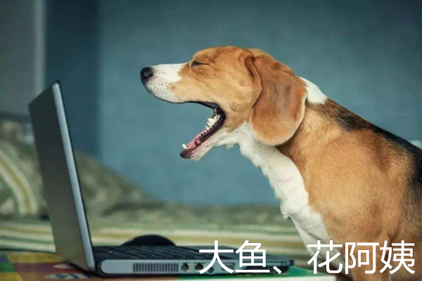 你真的读懂狗狗的这些肢体语言了么？